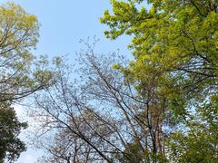 -罍+村(半边街店)