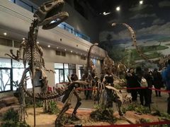 -自贡恐龙博物馆