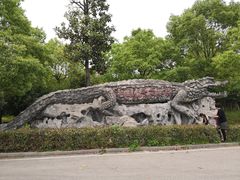 -中国扬子鳄村