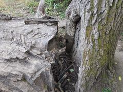 -长春市南湖公园