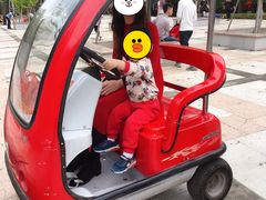 -广东茂名森林公园