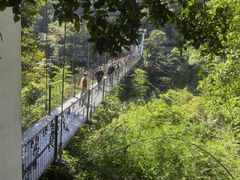 -西双版纳原始森林公园