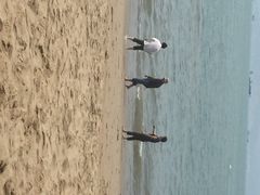 iphone_upload_pic-白城沙滩