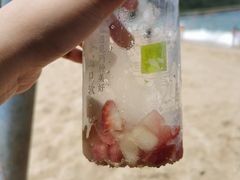 -奈雪的茶(大梅沙8号仓店)