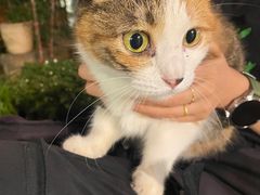 -厦门良筑精品酒店(厦门中山路店)