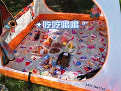 -上海共青森林公园