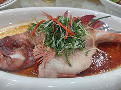 -渔意楼·驰名沙田乳鸽(五羊店)