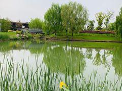 -西山漾湿地公园