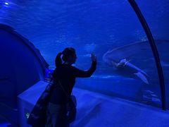 -太平洋海底世界