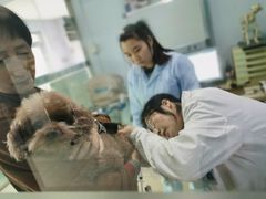 -乐宠动物医院