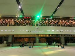 -TheRink大零溜冰场(IFS国金中心店)