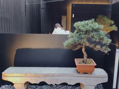 -觀芷隐轩