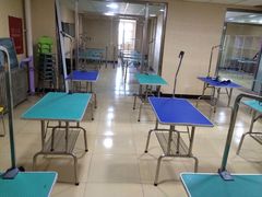 -优缇多格专业宠物美容师培训学校