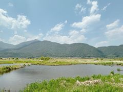 -腾冲北海湿地