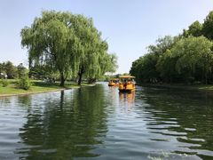 -上海共青森林公园