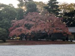 -京都御所