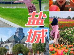 -荷兰花海