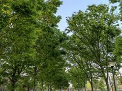 -梁子湖东篱老屋生态庄园