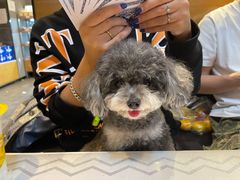 -嘉馨宠物医院·CT影像转诊·心脏科·犬猫全科诊疗中心(下沙大学城院区)