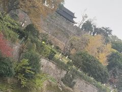 -羊山湖公园