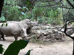 -普洱太阳河森林公园