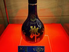 -成都瑞城名人酒店