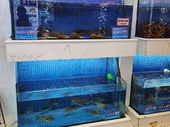 -益利大酒楼(井岸店)