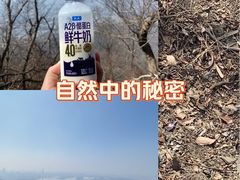 -紫金山山顶公园
