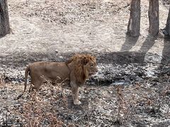 -新疆天山野生动物园