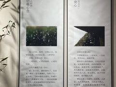 -十二舍·湯物素煮(江泰潤政店)
