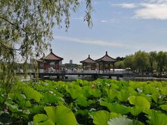 -长春市南湖公园