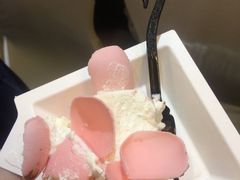 -BLACKSWAN黑天鹅(环球店)