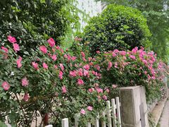 -长江路历史文化街区