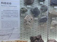 -浙江自然博物院(杭州馆)