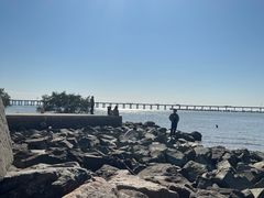 -宝安西湾红树林湿地公园