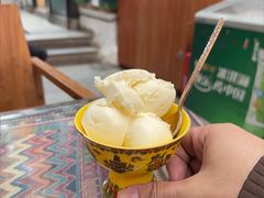 -古树酸奶(八廓南街店)