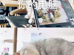 -平行世界·猫咖(首经贸店)