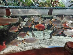 -太平洋海底世界