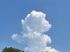 -南山植物园