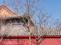 -天津妈祖文化园