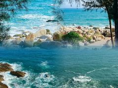 -广东惠东海龟国家级自然保护区