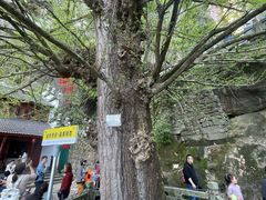 -大慈岩风景区