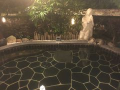 -明月山天沐温泉度假村