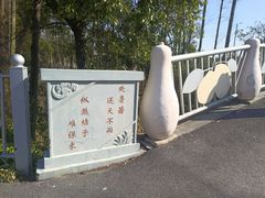 -上海长兴岛郊野公园