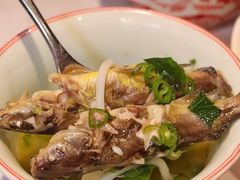 -柴门·头啖汤(天安千树店)