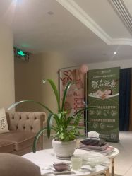 点击看大图 -东英经典SKIN&SPA