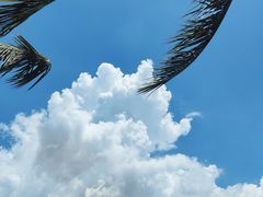 -深圳湾公园(南山区)