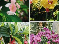 -上海辰山植物园