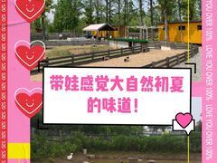 -前小桔亲子创意农场·草莓采摘·露营烧烤