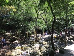 -羚羊峡古栈道森林公园